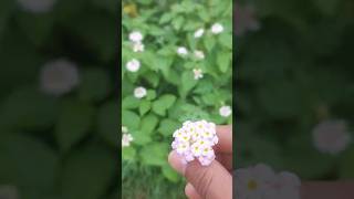#minivlog part-5#relatablecontent#viralreelsindia# #relatablecontent#viralreelsindia#foryoupage