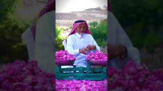 Saudi Arabia #flowers #flower #spring #saudiarabia #flowershow2024 #happiness #trending