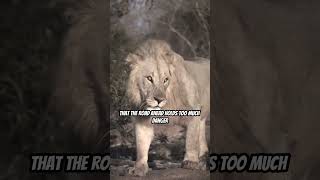 Your Grind Will Pay Off | #Motivation #SuccessJourney #Shorts