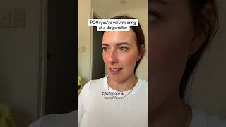 POV: You Volunteer At A Dog Shelter