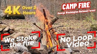 4K Campfire Start to Finish 🔥 We Stoke the fire 🔥Peaceful Crackling Flames in National Forest 🌲