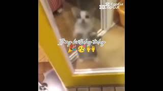 the day the lege.d was born in the world #birthaday#12september2025#its my birthday@Ayushx1n