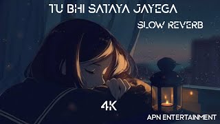 | Tu Bhi Sataya Jayega | | Vishal Mishra |  [Slow+Reverb] | APN ENTERTAINMENT