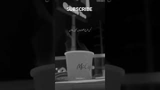 #jauneliapoetry #jaunelia #jauneliabestpoetry #jauneliasadpoetry #jauneliya