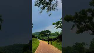 #love #lovesong #duet #lifeisbutadream #partymusic  four# you# paje#🖐️🖐️🖐️