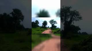 Nature WhatsApp Status Bengal song ❤️❤️। WhatsApp status Nature video