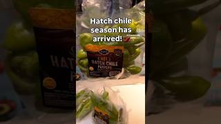 How to roast Hatch green chiles at home #shorts #shortvideo #recipes #recipeshorts #homecooked