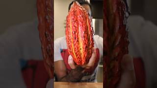 チョコレートを作ろう（CACAO PODより）