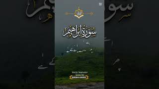 Surah Ibrahim #quranrecitation #quranictranslation #allahuakbar #turnbacktoallah