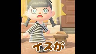 [Animal Crossing] There's a chair here...!? #AnimalCrossing #AnimalCrossingNewHorizons #shorts #diy