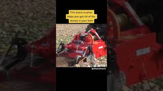 This is a Stone Crasher on the move #shorts #shortvideos