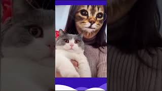 #shorts cat reaction 🤣🤣