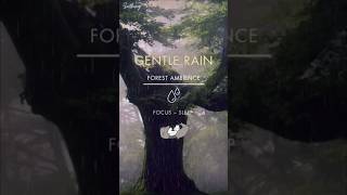 Gentle Rain On Ground | Full Video On The Channel #rain #relaxing #meditation #sleep #study #fyp