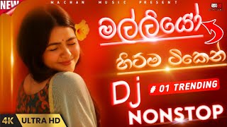 2025 Best Dj Nonstop Sinhala|New Trending Dj Nonstop|Bass-Boosted|Machan_Music