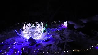 Holiday Lights at Minnesota Landscape Arboretum.