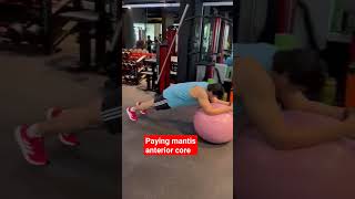 paying mantis anterior core #athletictraining #sportsfitness #coretraining #sportsspecificfitness