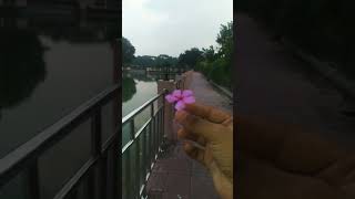 🌺🍂 #foryou #lyrics #hd_status #bangla_lyrics_video #banglalofisongswhatsappstatus #trending