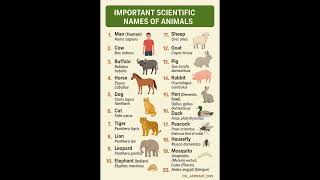 🌟📘 “General Science isn’t tough, it’s just beautifully logical.”-