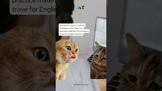 AEC's Online IELTS Classes #ielts #ieltspreparation #ieltsonline