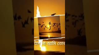 Feel this line, use headphone 🎧 | #banglamusic #akdinjodiamipakhihotam #lovesong #bengalicover