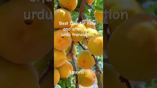 Best Dua for here and after #subscribe #viralvideoshort #powerofdua