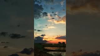Tuta Jo kabi Tara song whatsapp status|Full screen|#nature #shorts