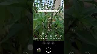 Macro Photography Tricks ✨ with Mobile #youtubeshorts #shorts