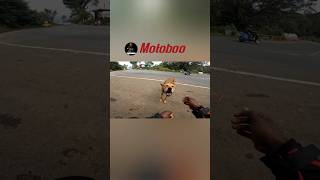 Dog love is emotional 🥹💯👈#dog #humanity #travel #shorts #explore