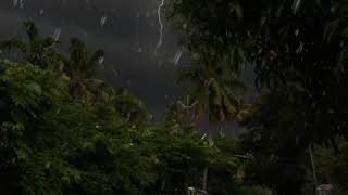 Feel the Music💕| Rainy Weather Heart Touching Music💘| Raining Video🔥|