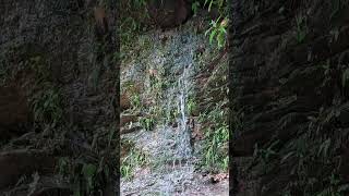 Natural Nature small water fall .#shorts #waterfall #fyp #fypシ゚viral #followme #nature #subscribe