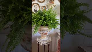 Beautiful Goodwill Find Repurposed🪴#goodwill #repurposing #plants #thrifting  #vintage #homedecor