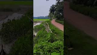 শৈশবের সৃতি,,,