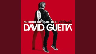 Play Hard (feat. Ne-Yo & Akon)