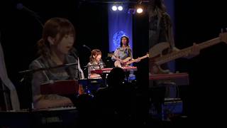 「アイランドエトセトラ 8th one-man」 より『Skyline』 #バンド  #music #citypop #citypopbeats #guitar #piano #drums
