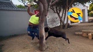 Try Not To Laugh 🤣 Top 100 Funniest Videos Ever 🎬🔥 Memes, Epic Fails & Pranks Compilation Part 20