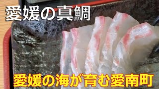【愛媛の海が育む愛南町巡り】[Ainan Town Tour where the Sea of ​​Ehime Nurtures]