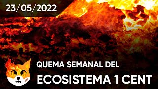 Quema de SHIBA INU y Bone por parte de ecosistema 1cent, próximo x1000