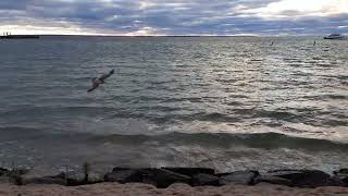 Relaxing Waves [No Ads]