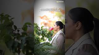 ⬇️ You’re 1 click away #unibridges #internationa #internationaleducation #abroad #studyabroad