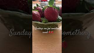 Strawberry and rhubarb pie for dessert 🍓🥧🍓