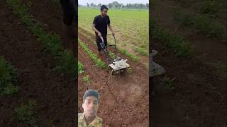 मिनी पावर टिलर ने मूंगफली के खेत में कर दिया कमाल।। #shorts #short #viralvideo power tiller