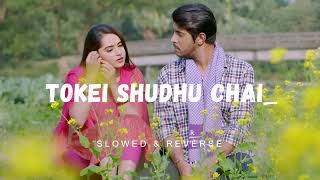 Tokei Shudhu Chai - Lofi Song  Mahima Shakib  Tawsif Mahbub  Keya Payel  Fitting Ismail 35