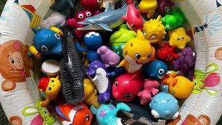 幼児向け海洋動物のおもちゃ：楽しい海洋動物の名前と豆知識｜幼児向け海洋動物のおもちゃ