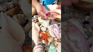 ঝিনুকের মধ্যে মুক্তা, Pearl in the oyster, #shorts #facts
