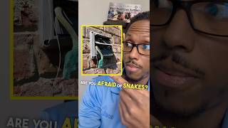 Beware of This Deadly Lint Snake Almost No One Knows About!! #dryerventcleaning  #shorts #snake