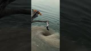 😱 tiger & pani ka bhavra 😱such a wonderful video 😱insta short video