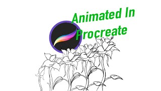 Animating In procreate