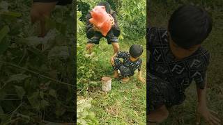Outdoorfood Wow SIMPLE but USEFUL  In Forest #survival #forest #outdoor