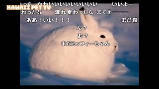 ホッキョクウサギが立ち上がった時の...コレジャナイ感w【ニコ動コメ付き】 #shorts