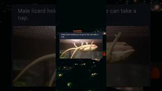 Funniest Memes Of The Day | 8 #meme